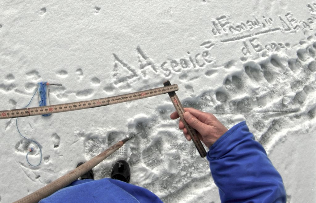 Sea ice loss formula written in snow