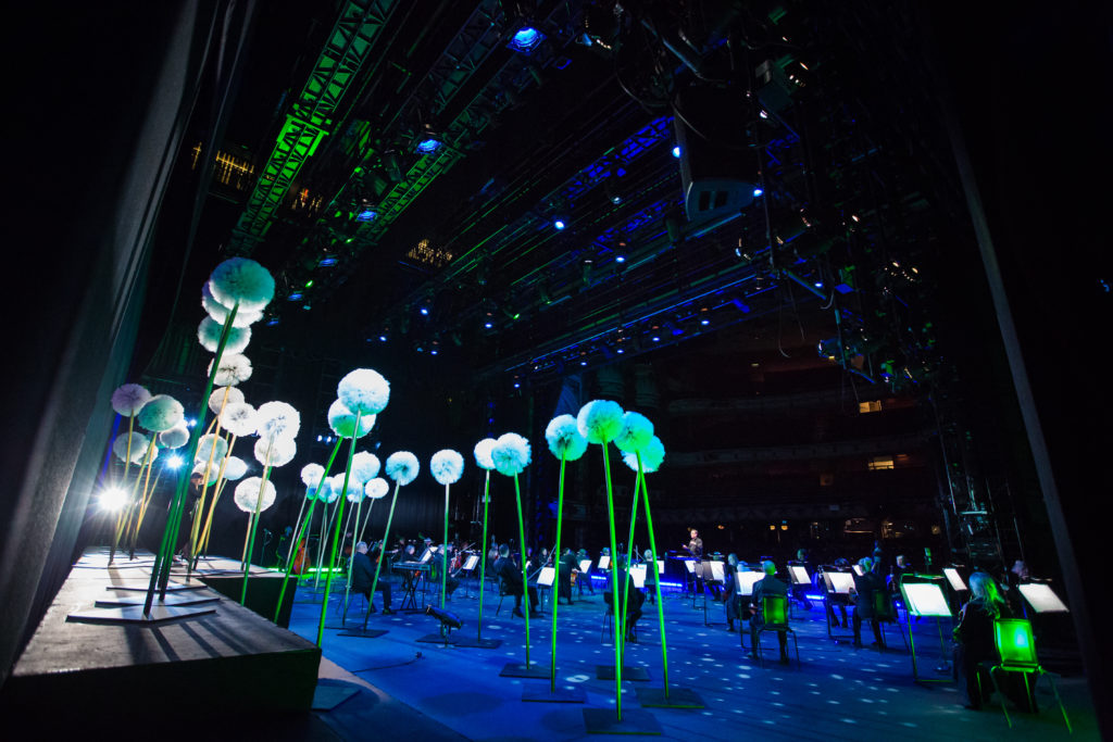 View of big flowers and a stage in a blue and green light